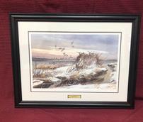 "Shooting Mallard Point" Framed Print 202//172